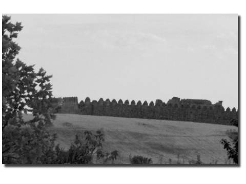 castillo granucillo vidriales